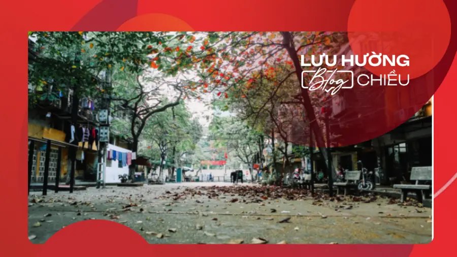 Đông về trong nỗi nhớ mùa thu